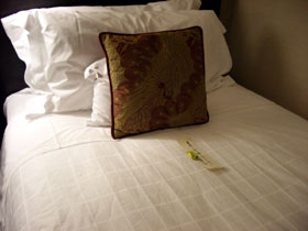 bed1_0511_kaori.jpg