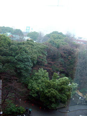hiejinjya_0602_kaori.jpg