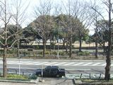 rie060304_25.jpg